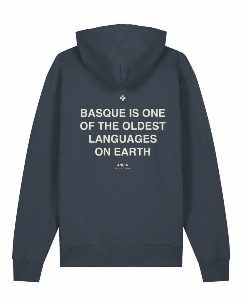 hoddie basque grey back