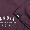 logo_andia_con_detalle_camiseta